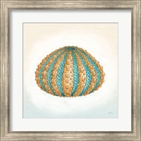 Framed 'Boardwalk Urchin' border=