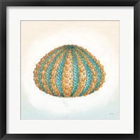 Boardwalk Urchin Framed Print