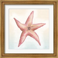 Framed 'Boardwalk Starfish' border=