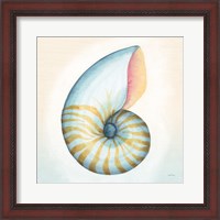 Framed 'Boardwalk Nautilus' border=