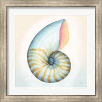 Framed 'Boardwalk Nautilus' border=