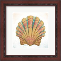 Framed 'Boardwalk Scallop' border=