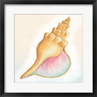 Framed Boardwalk Conch