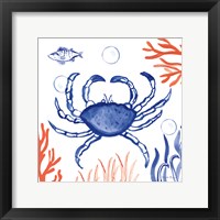 Coastal Jewels V Framed Print