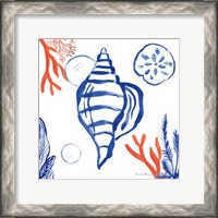 Framed 'Coastal Jewels II' border=