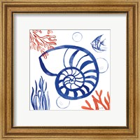 Framed 'Coastal Jewels I' border=