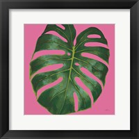 Welcome to Paradise XIII on Pink Framed Print