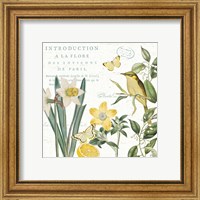 Framed 'Citron Curiosities III' border=