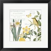 Framed 'Citron Curiosities III' border=