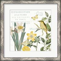 Framed 'Citron Curiosities III' border=