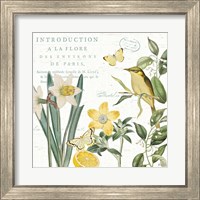 Framed 'Citron Curiosities III' border=