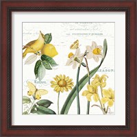 Framed 'Citron Curiosities II' border=