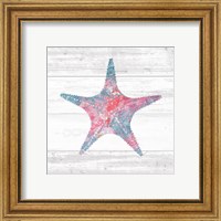 Framed 'Ocean Life IV' border=