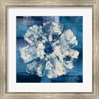 Framed 'Ocean Bloom I' border=