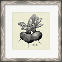 Framed 'Linen Vegetable BW Sketch Beets' border=