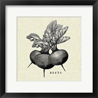 Framed Linen Vegetable BW Sketch Beets