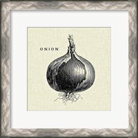 Framed 'Linen Vegetable BW Sketch Onion' border=