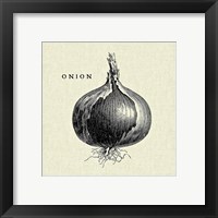 Framed 'Linen Vegetable BW Sketch Onion' border=