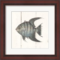 Framed 'Fish Sketches II Shiplap' border=