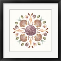 Ocean Mandala II Framed Print