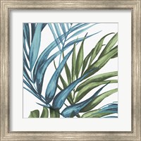 Framed 'Palm Leaves II' border=