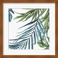 Framed 'Palm Leaves III' border=