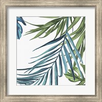 Framed 'Palm Leaves III' border=