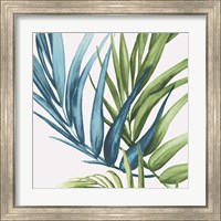 Framed 'Palm Leaves IV' border=