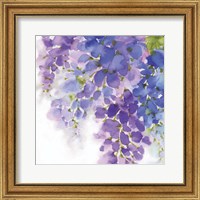 Framed 'Wisteria I' border=