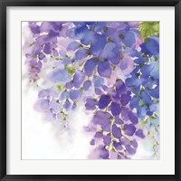 Wisteria I Framed Print