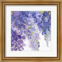 Framed 'Wisteria II' border=