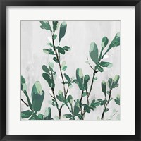 The Branch I Framed Print