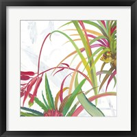 Framed 'Tropical II' border=