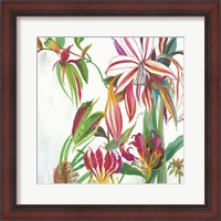 Framed 'Tropical III' border=