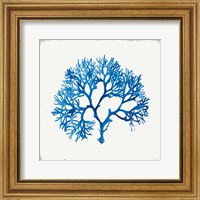 Framed 'Blue Coral II' border=