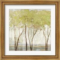 Framed 'Green Canopy I' border=