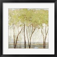 Green Canopy I Framed Print