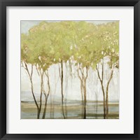 Green Canopy II Framed Print