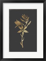 Botanical Gold on Black I Framed Print