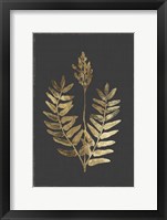 Framed Botanical Gold on Black III