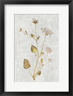 Botanical Gold on White I Framed Print