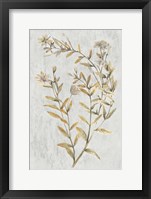 Botanical Gold on White II Framed Print