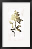 Gold Botanical I Framed Print