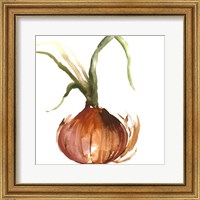 Framed 'Onion' border=