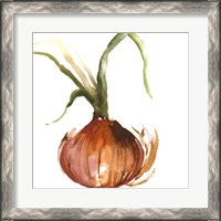 Framed 'Onion' border=