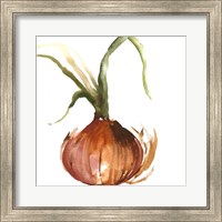 Framed 'Onion' border=