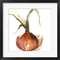 Framed 'Onion' border=