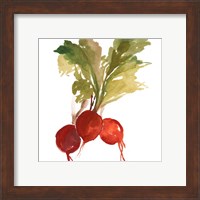 Framed 'Radish' border=