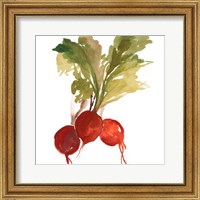 Framed 'Radish' border=