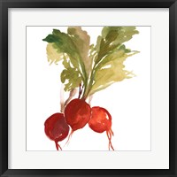 Framed 'Radish' border=